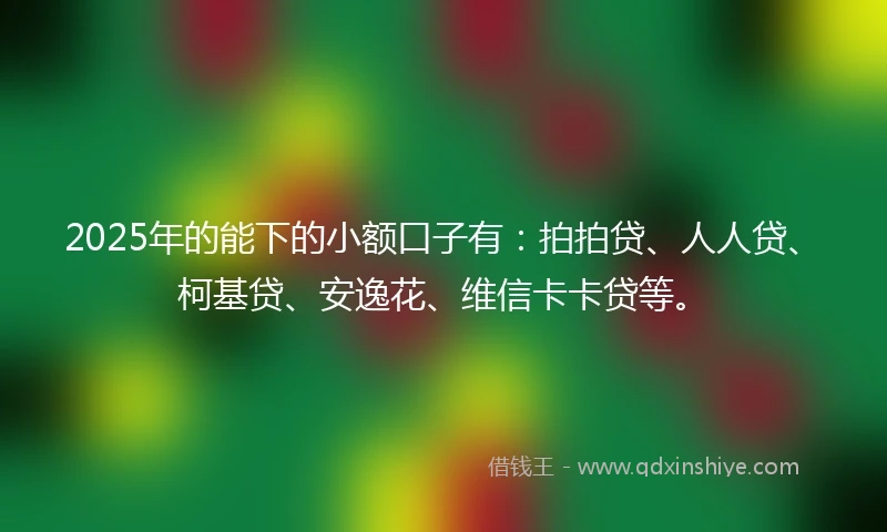 2025年的能下的小额口子有：拍拍贷、人人贷、柯基贷、安逸花、维信卡卡贷等。