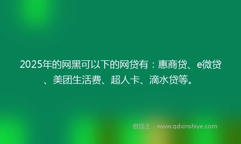 2025年的网黑可以下的网贷有：惠商贷、e微贷、美团生活费、超人卡、滴水贷等。