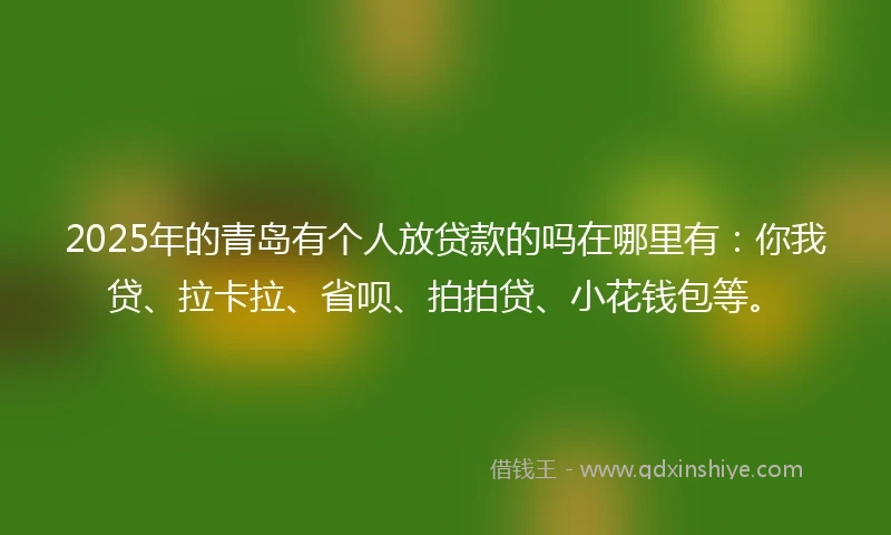2025年的青岛有个人放贷款的吗在哪里有：你我贷、拉卡拉、省呗、拍拍贷、小花钱包等。