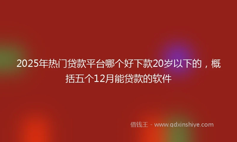 2025年热门贷款平台哪个好下款20岁以下的，概括五个12月能贷款的软件