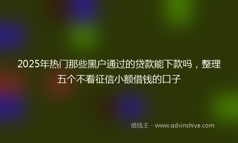 2025年热门那些黑户通过的贷款能下款吗,整理五个不看征信小额借钱的口子
