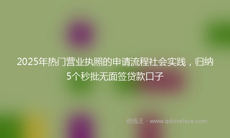 2025年热门营业执照的申请流程社会实践，归纳5个秒批无面签贷款口子