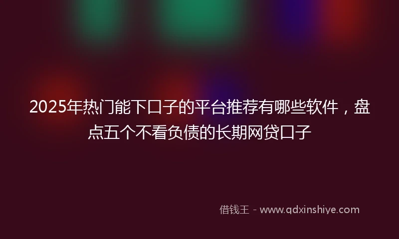 2025年热门能下口子的平台推荐有哪些软件，盘点五个不看负债的长期网贷口子