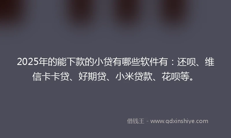 2025年的能下款的小贷有哪些软件有：还呗、维信卡卡贷、好期贷、小米贷款、花呗等。