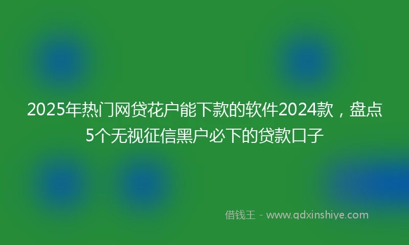 2025年热门网贷花户能下款的软件2024款，盘点5个无视征信黑户必下的贷款口子