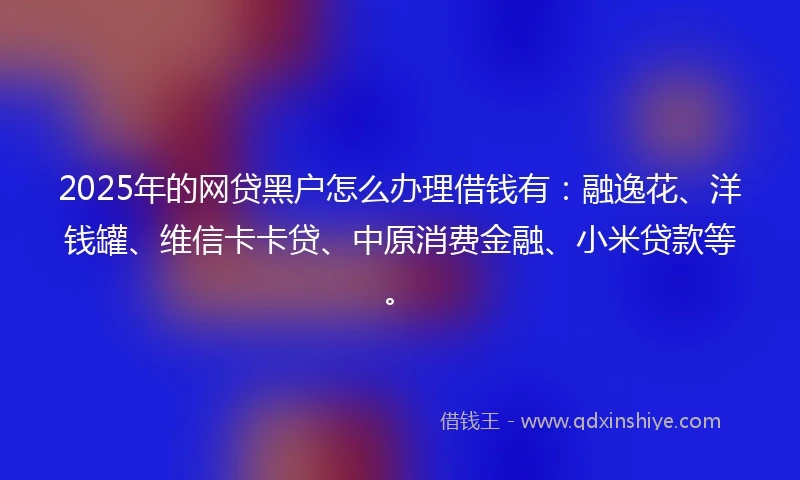 2025年的网贷黑户怎么办理借钱有：融逸花、洋钱罐、维信卡卡贷、中原消费金融、小米贷款等。