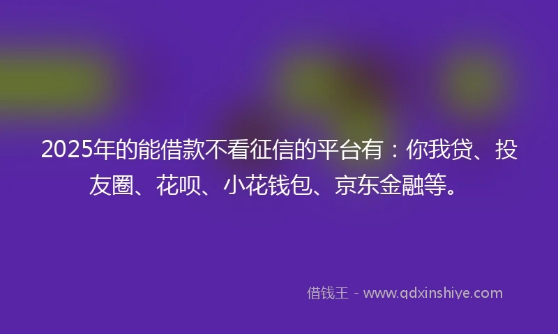 2025年的能借款不看征信的平台有：你我贷、投友圈、花呗、小花钱包、京东金融等。