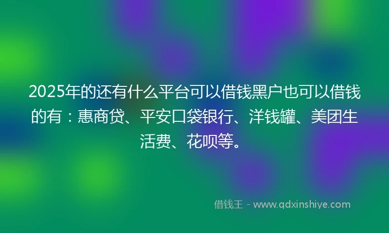 2025年的还有什么平台可以借钱黑户也可以借钱的有：惠商贷、平安口袋银行、洋钱罐、美团生活费、花呗等。