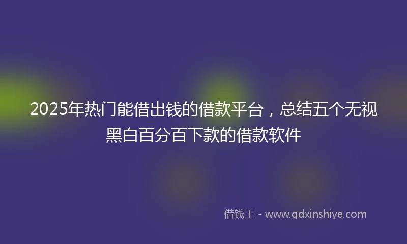 2025年热门能借出钱的借款平台，总结五个无视黑白百分百下款的借款软件