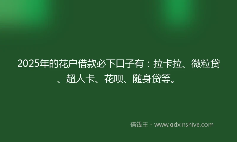 2025年的花户借款必下口子有：拉卡拉、微粒贷、超人卡、花呗、随身贷等。
