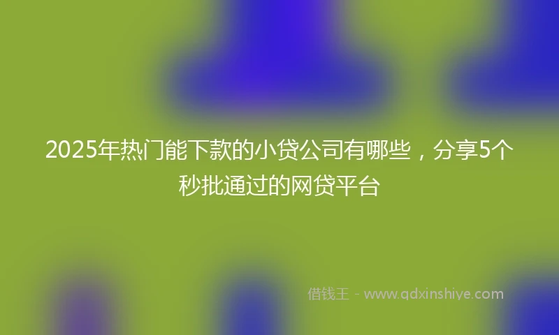 2025年热门能下款的小贷公司有哪些，分享5个秒批通过的网贷平台
