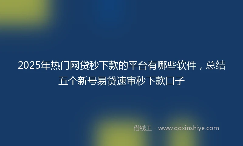 2025年热门网贷秒下款的平台有哪些软件，总结五个新号易贷速审秒下款口子