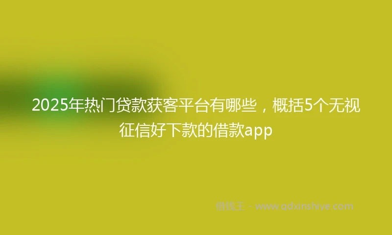 2025年热门贷款获客平台有哪些，概括5个无视征信好下款的借款app