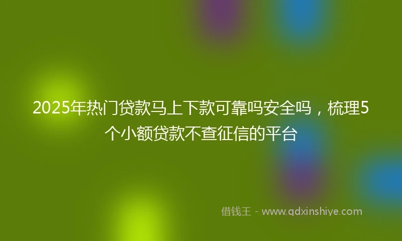 2025年热门贷款马上下款可靠吗安全吗，梳理5个小额贷款不查征信的平台