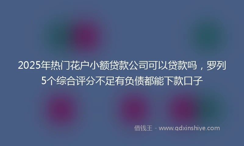 2025年热门花户小额贷款公司可以贷款吗，罗列5个综合评分不足有负债都能下款口子