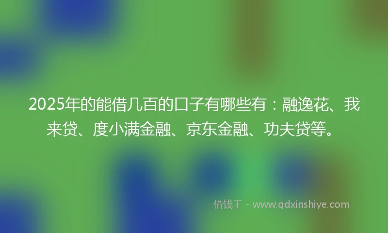 2025年的能借几百的口子有哪些有：融逸花、我来贷、度小满金融、京东金融、功夫贷等。
