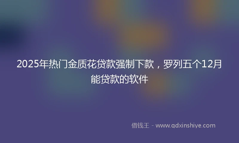 2025年热门金质花贷款强制下款，罗列五个12月能贷款的软件