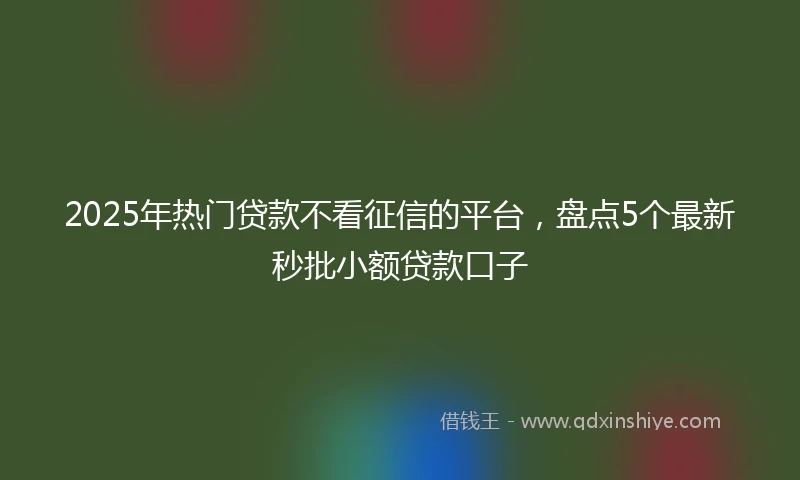 2025年热门贷款不看征信的平台，盘点5个最新秒批小额贷款口子