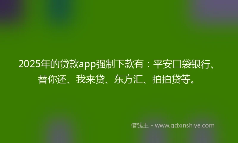 2025年的贷款app强制下款有:平安口袋银行、替你还、我来贷、东方汇、拍拍贷等。