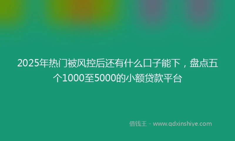 2025年热门被风控后还有什么口子能下，盘点五个1000至5000的小额贷款平台