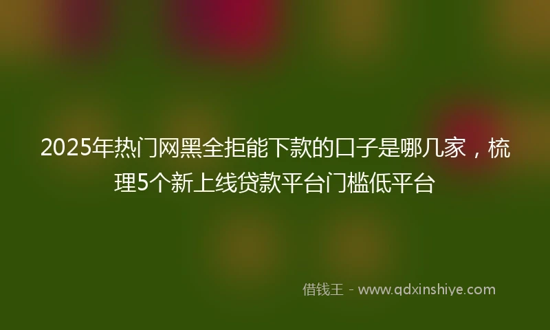 2025年热门网黑全拒能下款的口子是哪几家，梳理5个新上线贷款平台门槛低平台