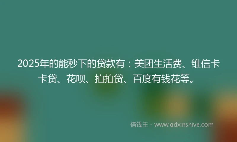 2025年的能秒下的贷款有：美团生活费、维信卡卡贷、花呗、拍拍贷、百度有钱花等。