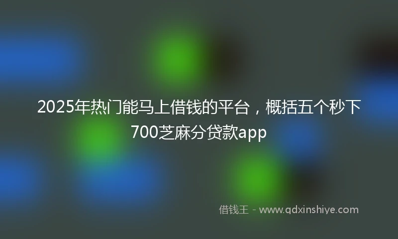 2025年热门能马上借钱的平台，概括五个秒下700芝麻分贷款app