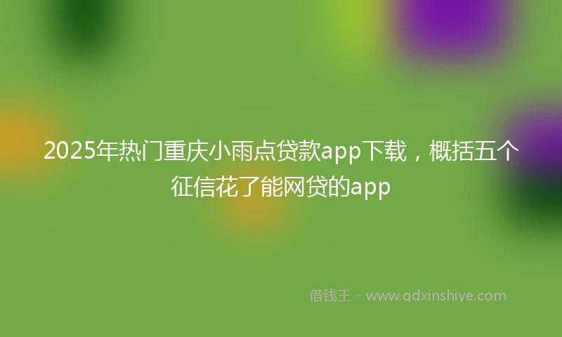 2025年热门重庆小雨点贷款app下载，概括五个征信花了能网贷的app