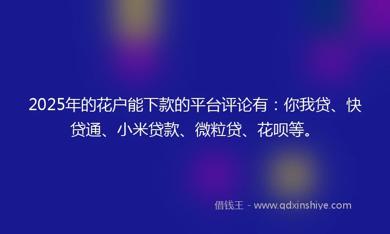 2025年的花户能下款的平台评论有：你我贷、快贷通、小米贷款、微粒贷、花呗等。