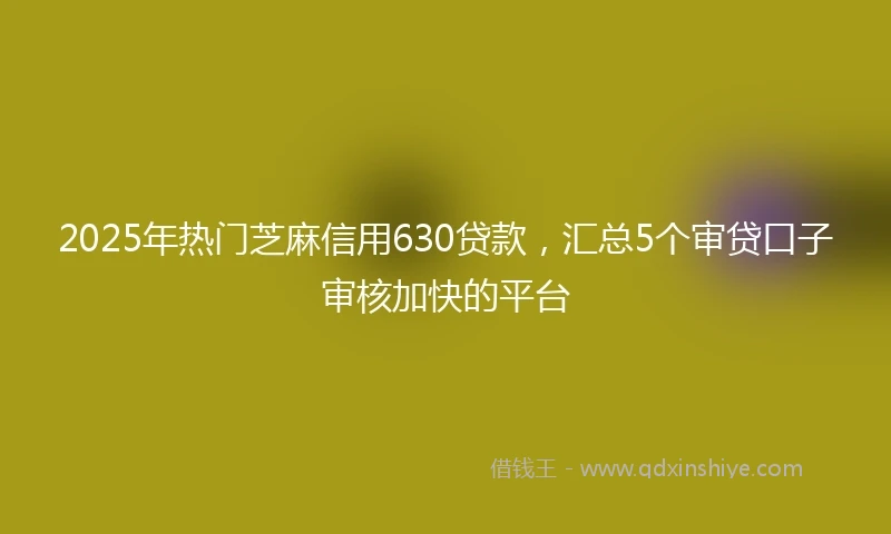 2025年热门芝麻信用630贷款，汇总5个审贷口子审核加快的平台