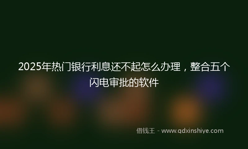 2025年热门银行利息还不起怎么办理，整合五个闪电审批的软件