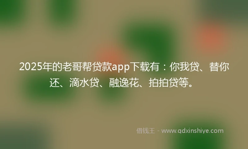 2025年的老哥帮贷款app下载有：你我贷、替你还、滴水贷、融逸花、拍拍贷等。