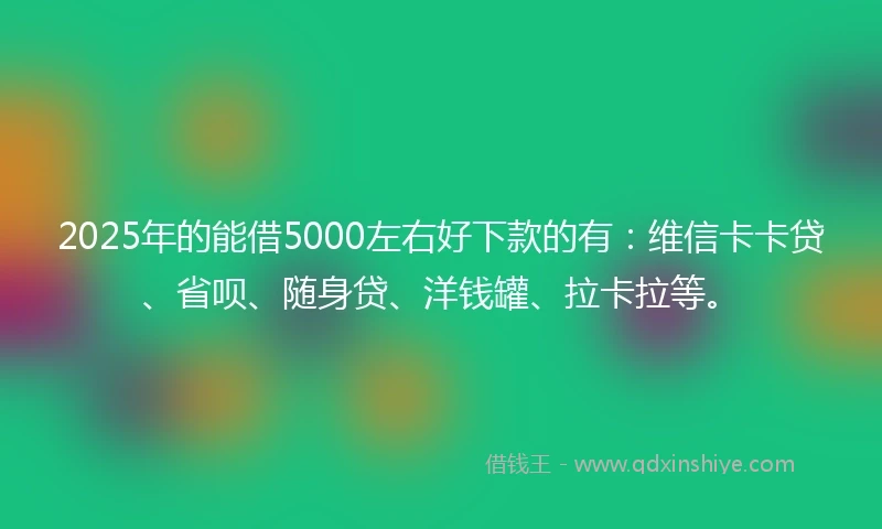 2025年的能借5000左右好下款的有：维信卡卡贷、省呗、随身贷、洋钱罐、拉卡拉等。
