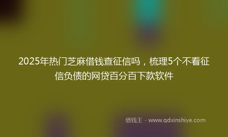 2025年热门芝麻借钱查征信吗，梳理5个不看征信负债的网贷百分百下款软件