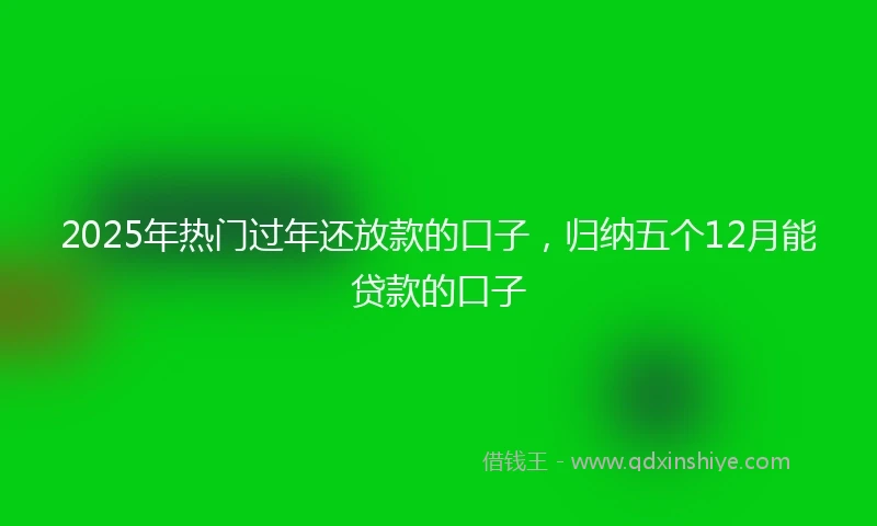 2025年热门过年还放款的口子，归纳五个12月能贷款的口子