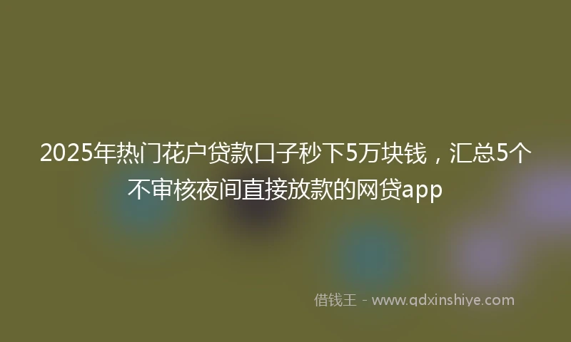 2025年热门花户贷款口子秒下5万块钱，汇总5个不审核夜间直接放款的网贷app
