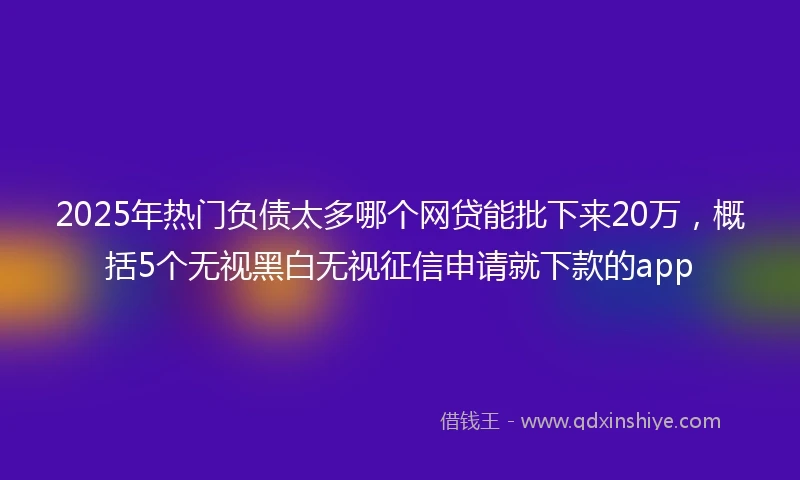 2025年热门负债太多哪个网贷能批下来20万，概括5个无视黑白无视征信申请就下款的app