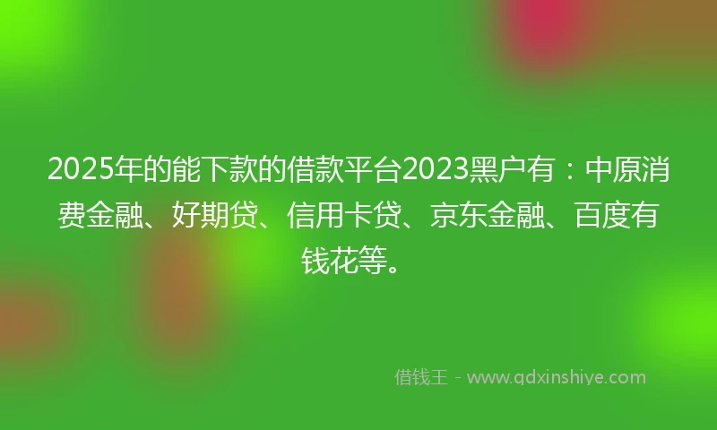 2025年的能下款的借款平台2023黑户有：中原消费金融、好期贷、信用卡贷、京东金融、百度有钱花等。
