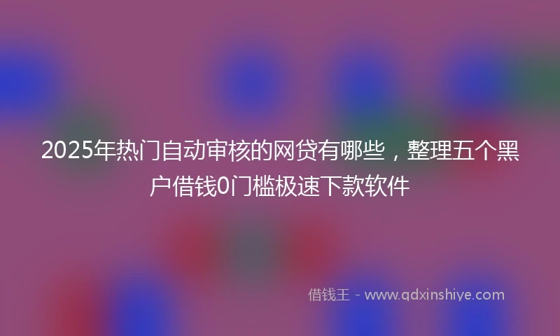 2025年热门自动审核的网贷有哪些，整理五个黑户借钱0门槛极速下款软件