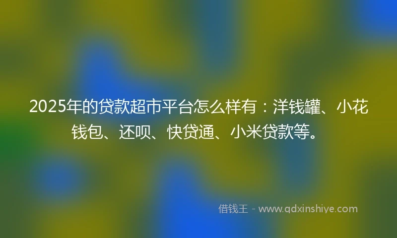 2025年的贷款超市平台怎么样有：洋钱罐、小花钱包、还呗、快贷通、小米贷款等。