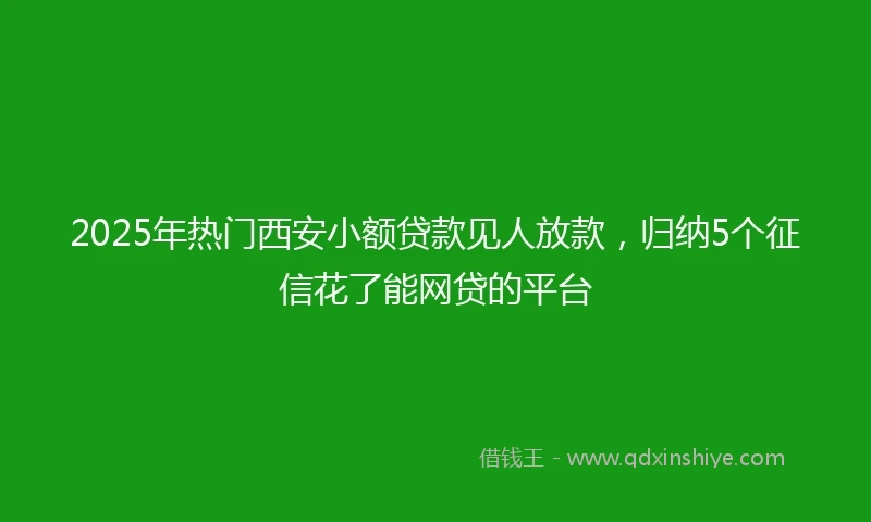 2025年热门西安小额贷款见人放款，归纳5个征信花了能网贷的平台