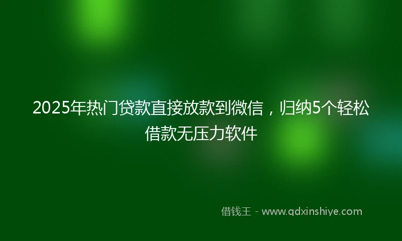 2025年热门贷款直接放款到微信，归纳5个轻松借款无压力软件