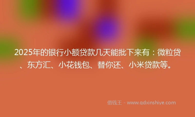 2025年的银行小额贷款几天能批下来有：微粒贷、东方汇、小花钱包、替你还、小米贷款等。