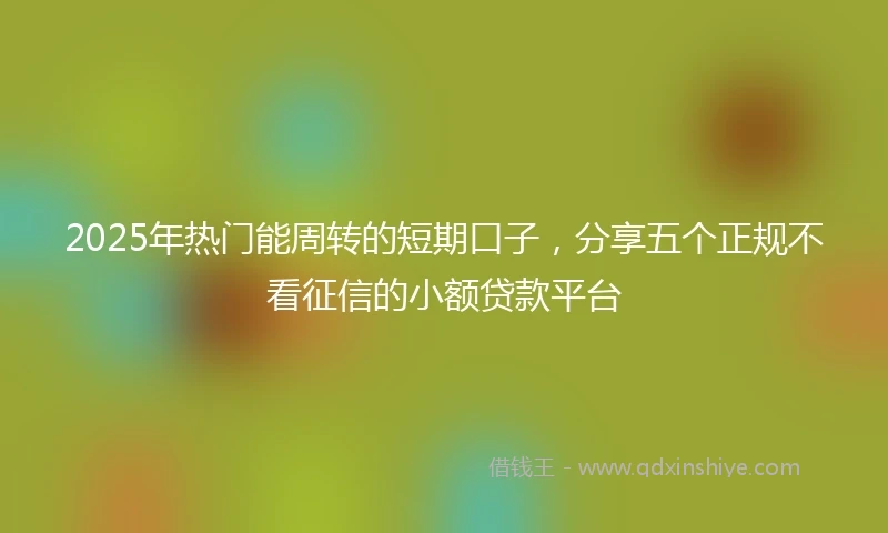 2025年热门能周转的短期口子，分享五个正规不看征信的小额贷款平台