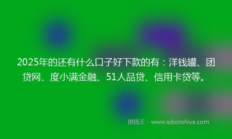 2025年的还有什么口子好下款的有：洋钱罐、团贷网、度小满金融、51人品贷、信用卡贷等。