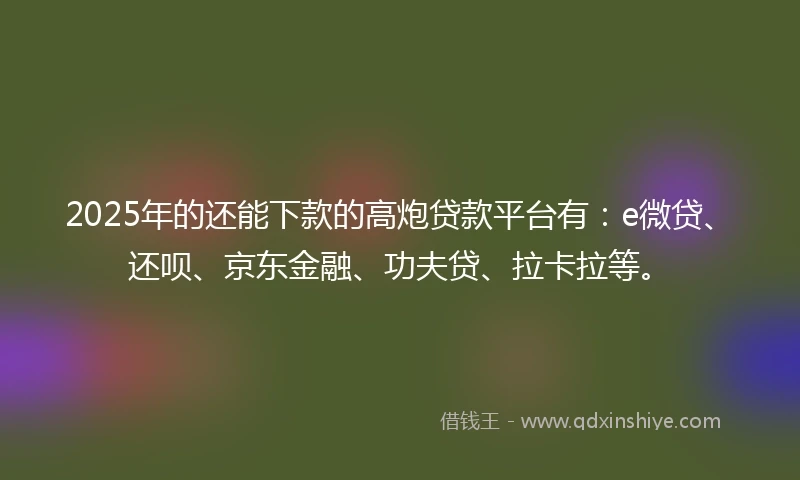 2025年的还能下款的高炮贷款平台有：e微贷、还呗、京东金融、功夫贷、拉卡拉等。