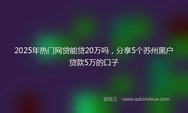 2025年热门网贷能贷20万吗，分享5个苏州黑户贷款5万的口子