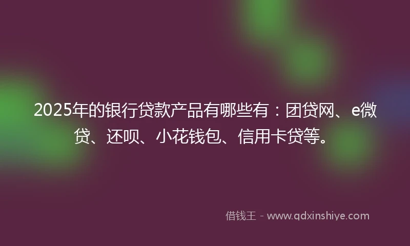 2025年的银行贷款产品有哪些有：团贷网、e微贷、还呗、小花钱包、信用卡贷等。