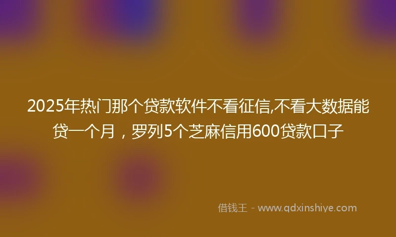 2025年热门那个贷款软件不看征信,不看大数据能贷一个月，罗列5个芝麻信用600贷款口子