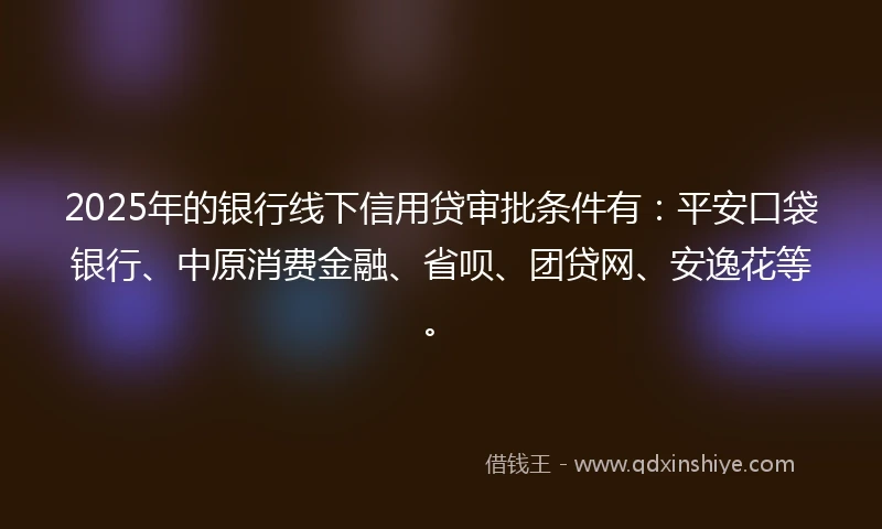 2025年的银行线下信用贷审批条件有：平安口袋银行、中原消费金融、省呗、团贷网、安逸花等。